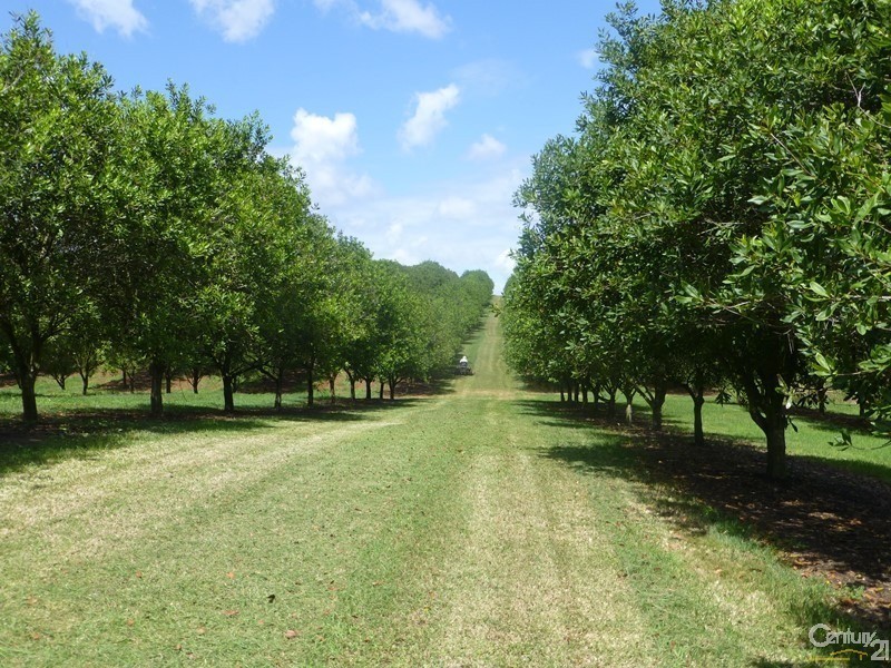 Alstonville NSW 2477