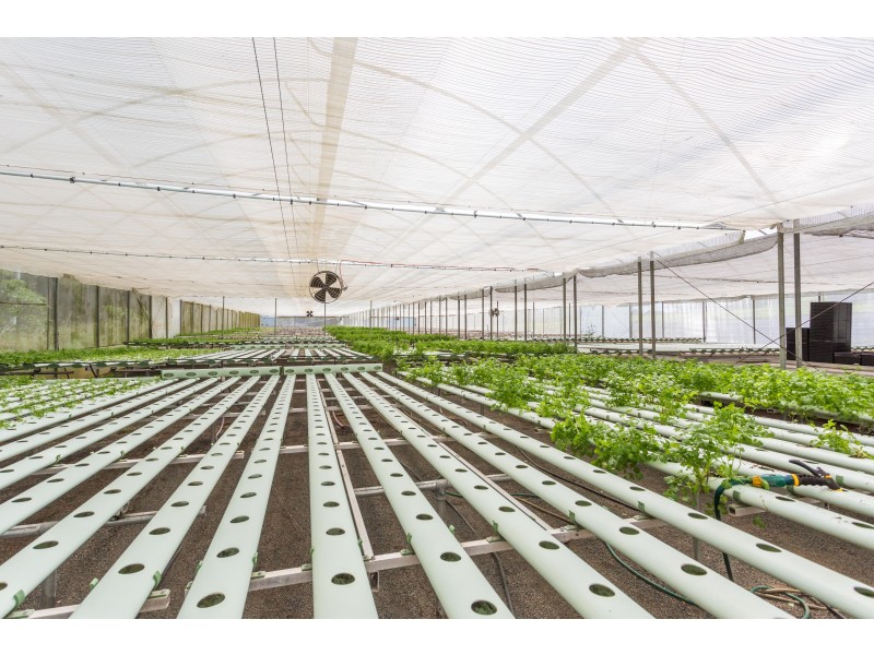 Alstonville NSW 2477