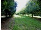 379 Pearces Creek Road, Alstonville NSW 2477