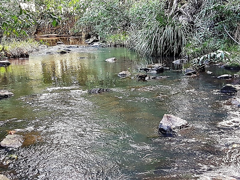 379 Pearces Creek Road, Alstonville NSW 2477