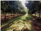 379 Pearces Creek Road, Alstonville NSW 2477