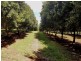 379 Pearces Creek Road, Alstonville NSW 2477
