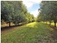 379 Pearces Creek Road, Alstonville NSW 2477
