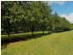 379 Pearces Creek Road, Alstonville NSW 2477