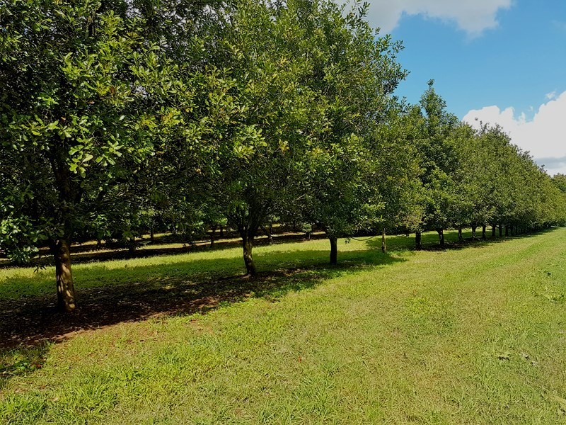 379 Pearces Creek Road, Alstonville NSW 2477