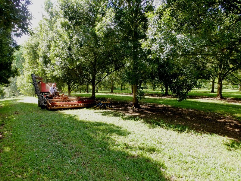 379 Pearces Creek Road, Alstonville NSW 2477