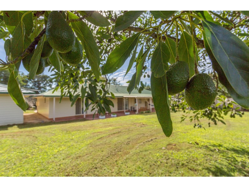 129 Rous Road, Rous NSW 2477