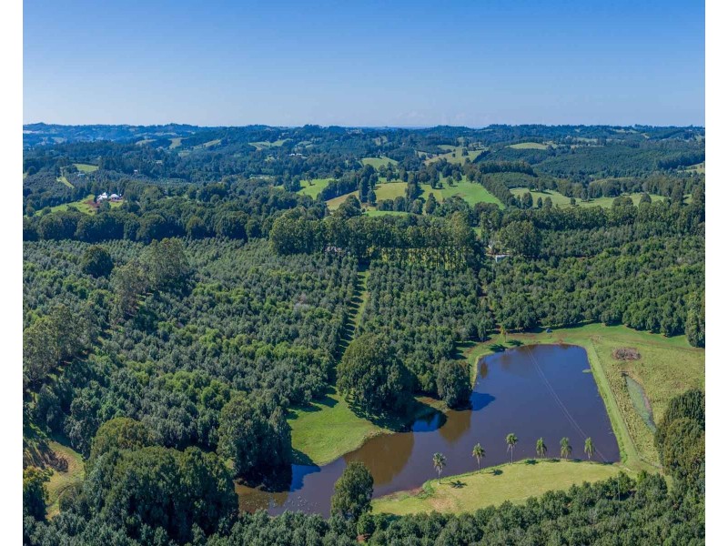 Mcleans Ridges NSW 2480