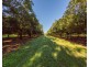 Mcleans Ridges NSW 2480
