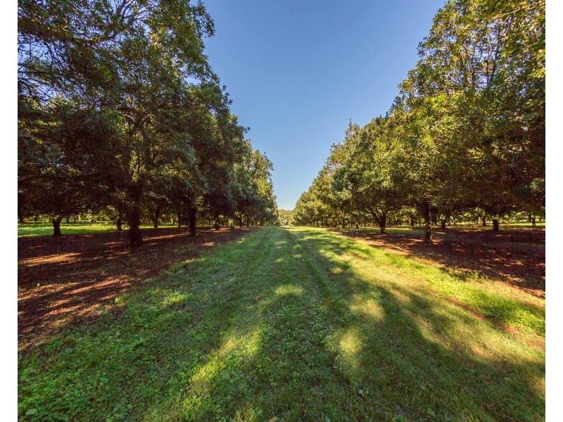 Mcleans Ridges NSW 2480
