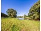 Mcleans Ridges NSW 2480
