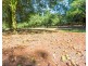 Mcleans Ridges NSW 2480