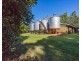 Mcleans Ridges NSW 2480