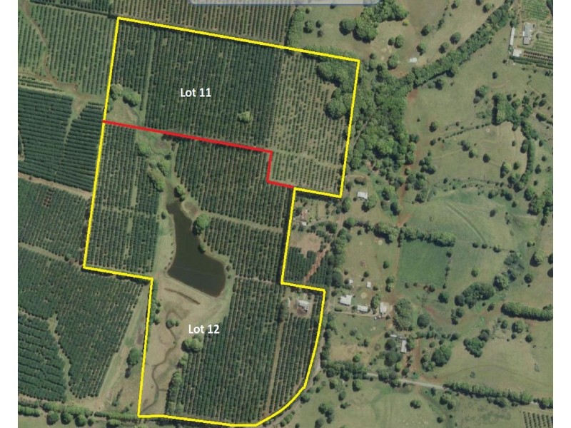 Mcleans Ridges NSW 2480