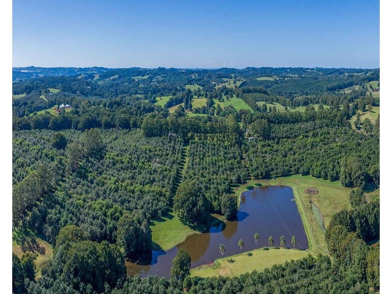 Mcleans Ridges NSW 2480