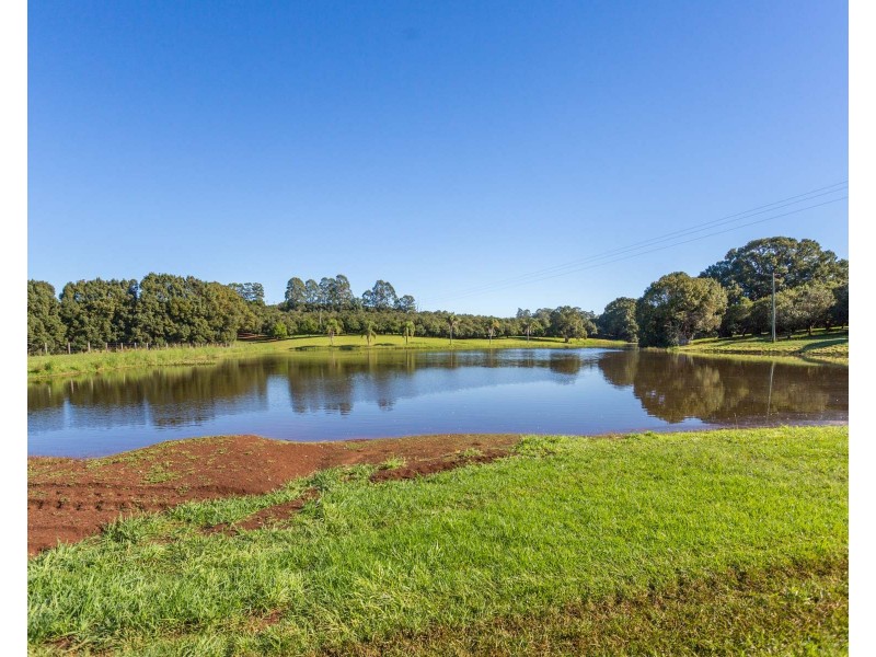 Mcleans Ridges NSW 2480