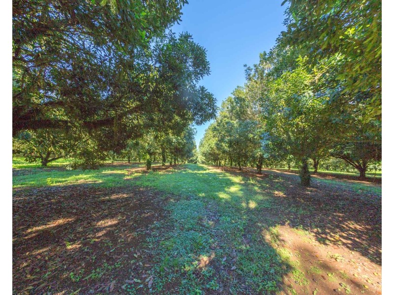 Mcleans Ridges NSW 2480