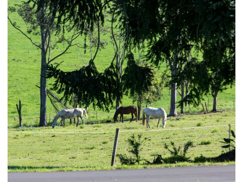Boat Harbour NSW 2480