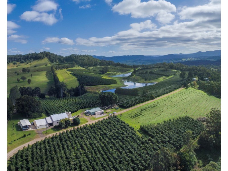 Mountain Top NSW 2480