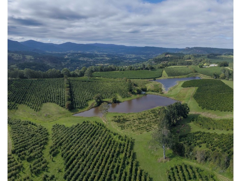 Mountain Top NSW 2480