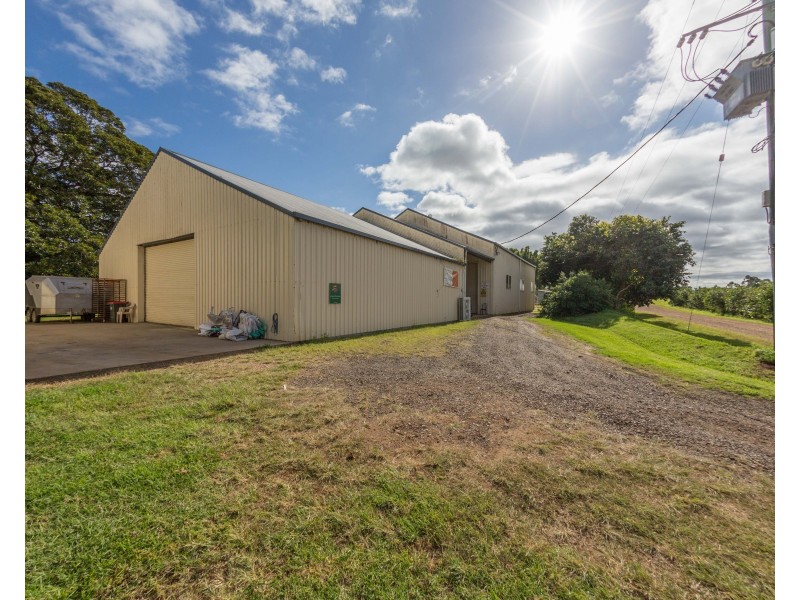 Mountain Top NSW 2480