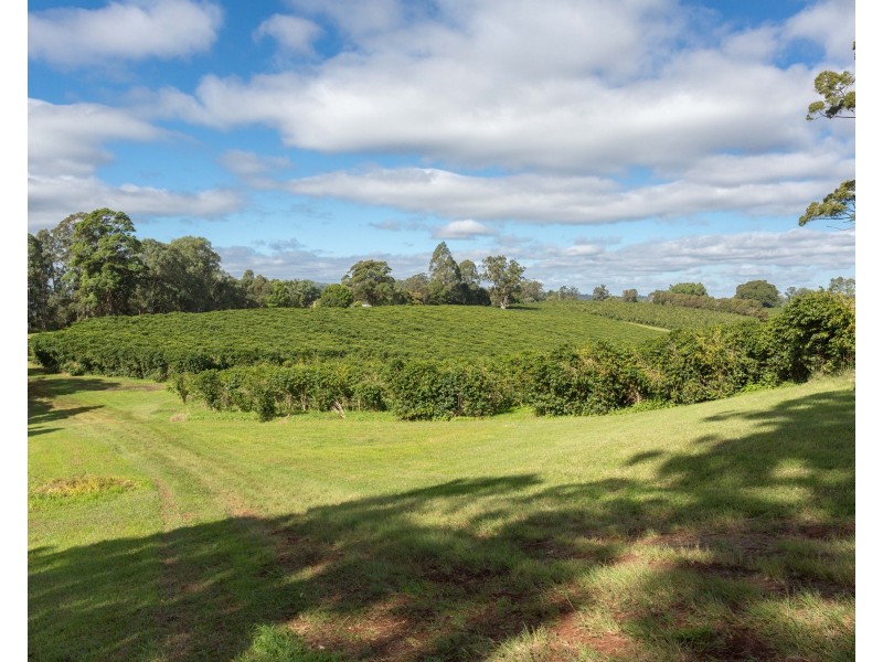 Mountain Top NSW 2480