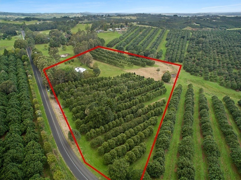 465 Rous Road, Tregeagle NSW 2480