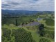 Nimbin NSW 2480