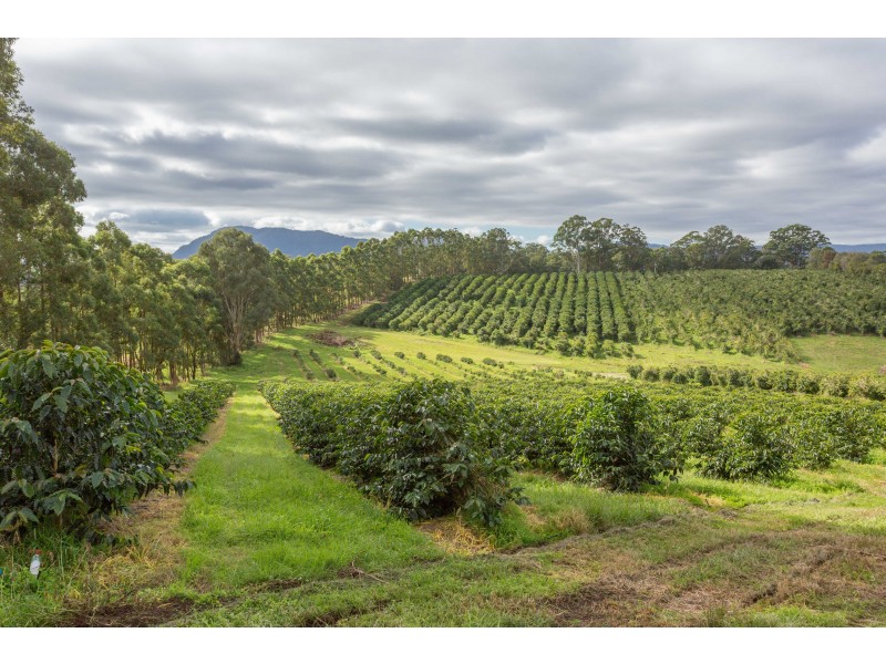 Nimbin NSW 2480