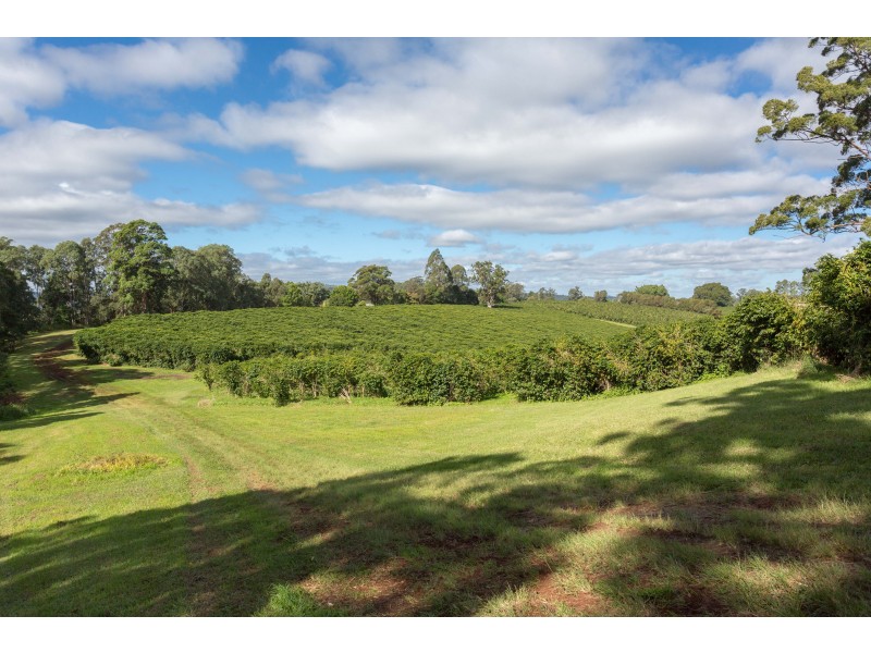 Nimbin NSW 2480