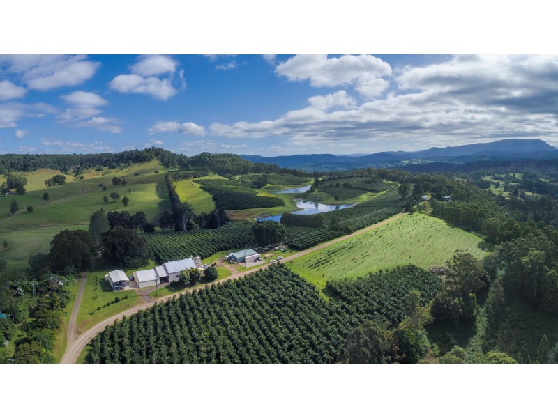 Nimbin NSW 2480
