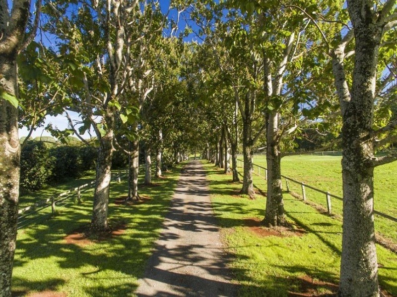 Dalwood NSW 2477