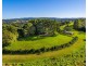 100  Binna Burra Road, Binna Burra NSW 2479