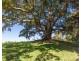 100  Binna Burra Road, Binna Burra NSW 2479