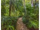 100  Binna Burra Road, Binna Burra NSW 2479