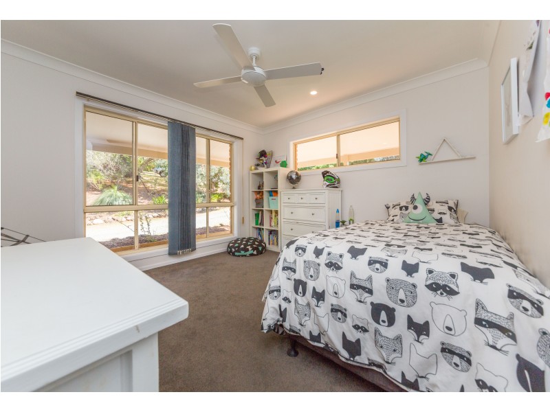 100 Molly’s Grass Road, Tregeagle NSW 2480