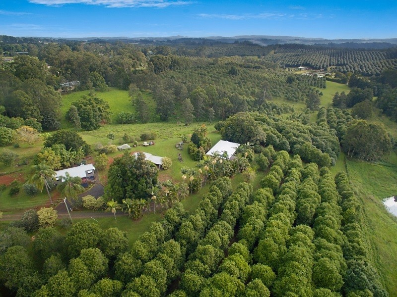 1555 Dunoon Road, Dunoon NSW 2480