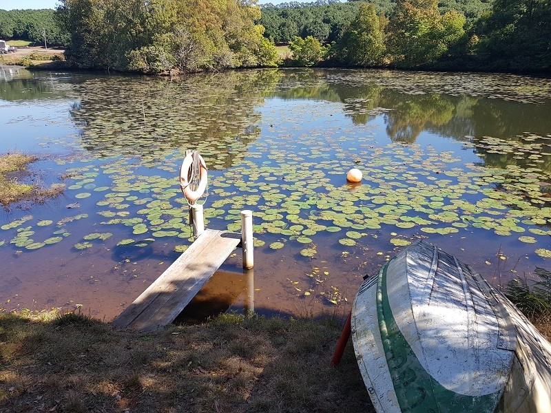 1555 Dunoon Road, Dunoon NSW 2480