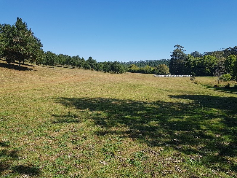 1555 Dunoon Road, Dunoon NSW 2480