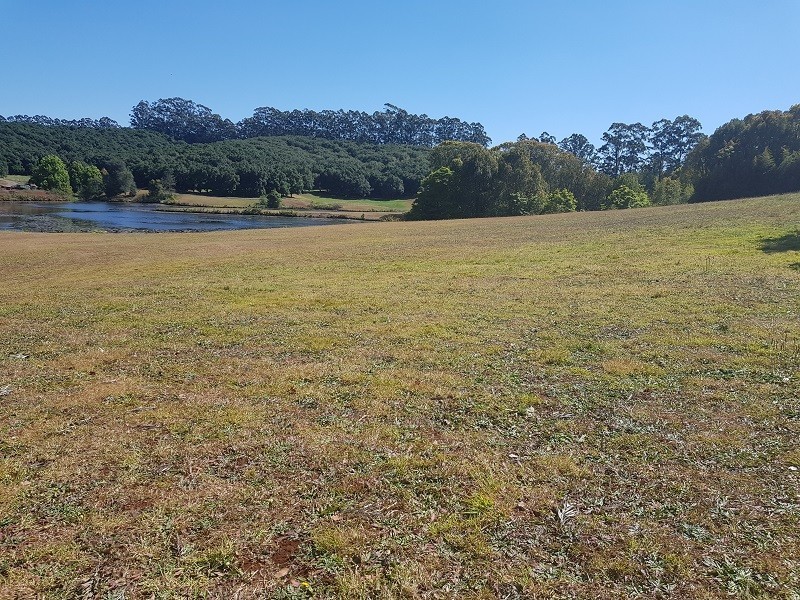 1555 Dunoon Road, Dunoon NSW 2480