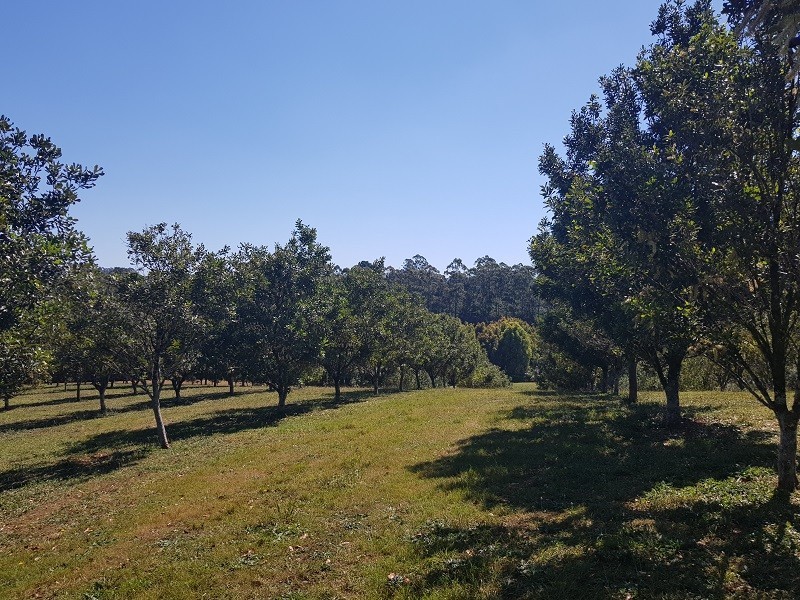 1555 Dunoon Road, Dunoon NSW 2480