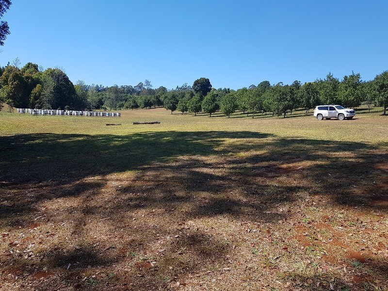 1555 Dunoon Road, Dunoon NSW 2480