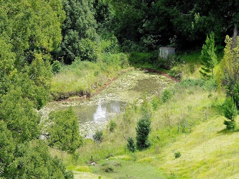 519 Pearces Creek Road, Alstonville NSW 2477