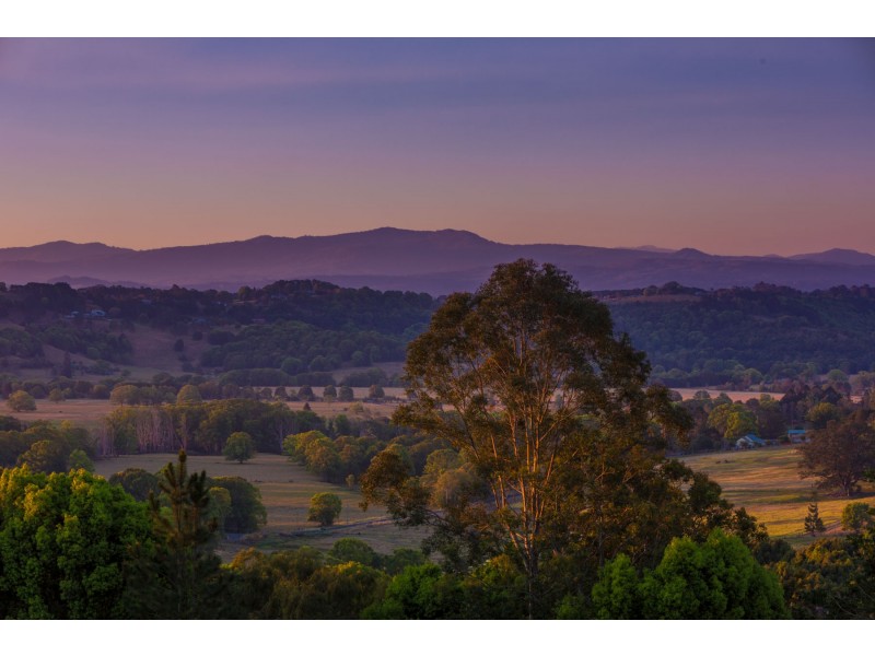 647  Cowlong Road, Eltham NSW 2480