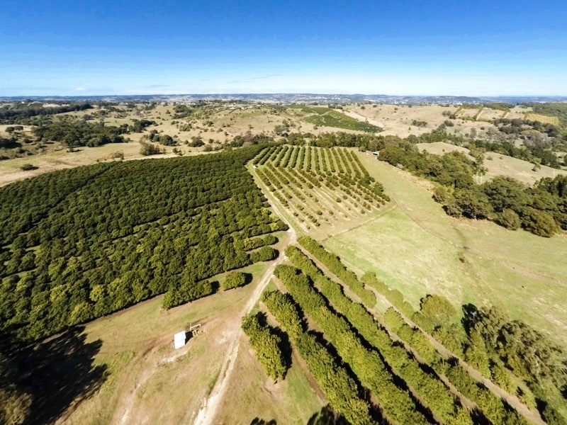 Booerie Creek NSW 2480