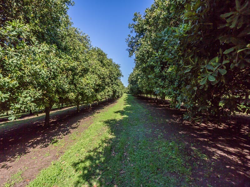 Booerie Creek NSW 2480