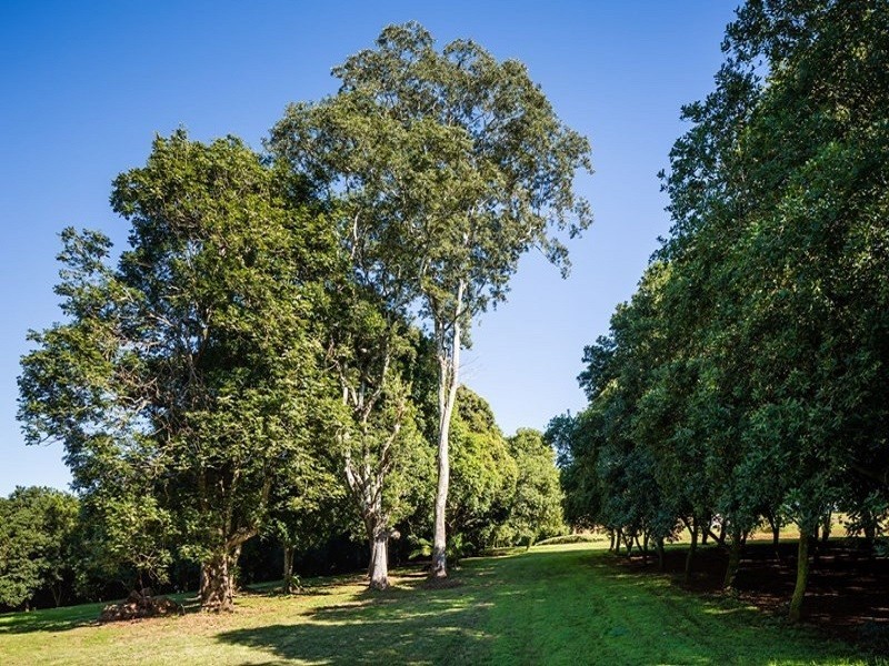 147 Fraser Road, Dunoon NSW 2480