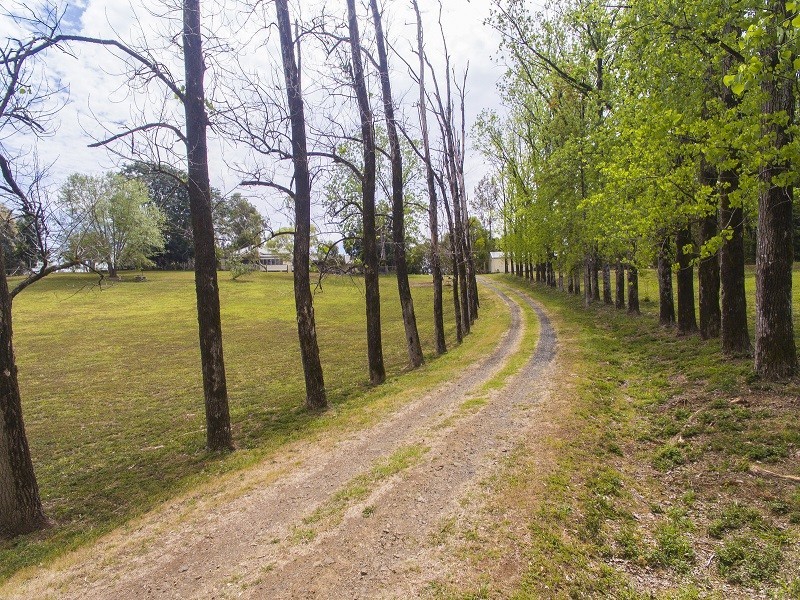 50 Rocky Creek Dam Road, Dunoon NSW 2480