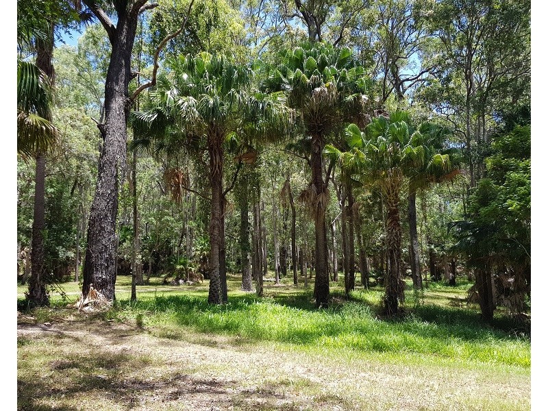Meerschaum Vale NSW 2477