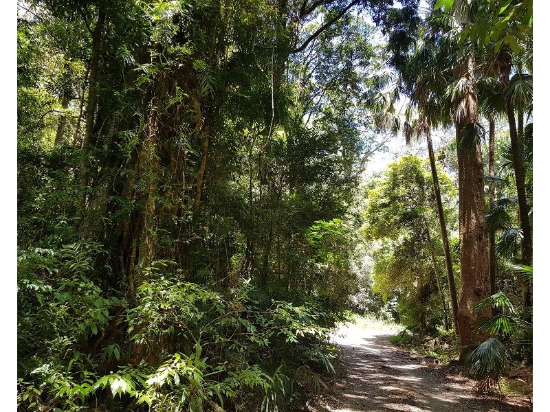 Meerschaum Vale NSW 2477